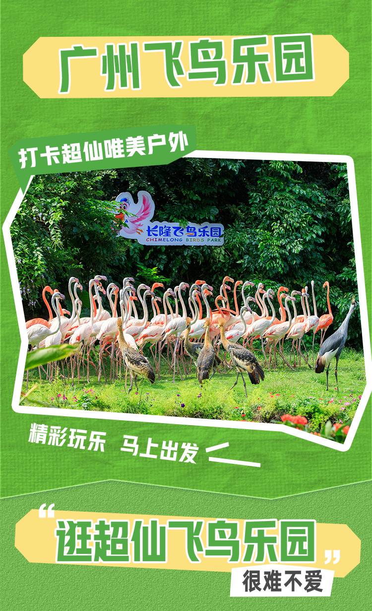 Time of October Chimelong Birds Park Operating
