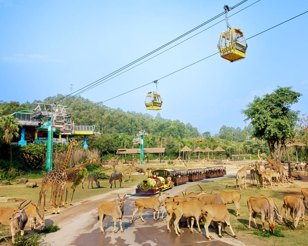 Chimelong Safari Park