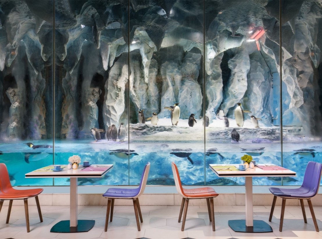 Emperor Penguin All Day Dining - Chimelong Penguin Hotel