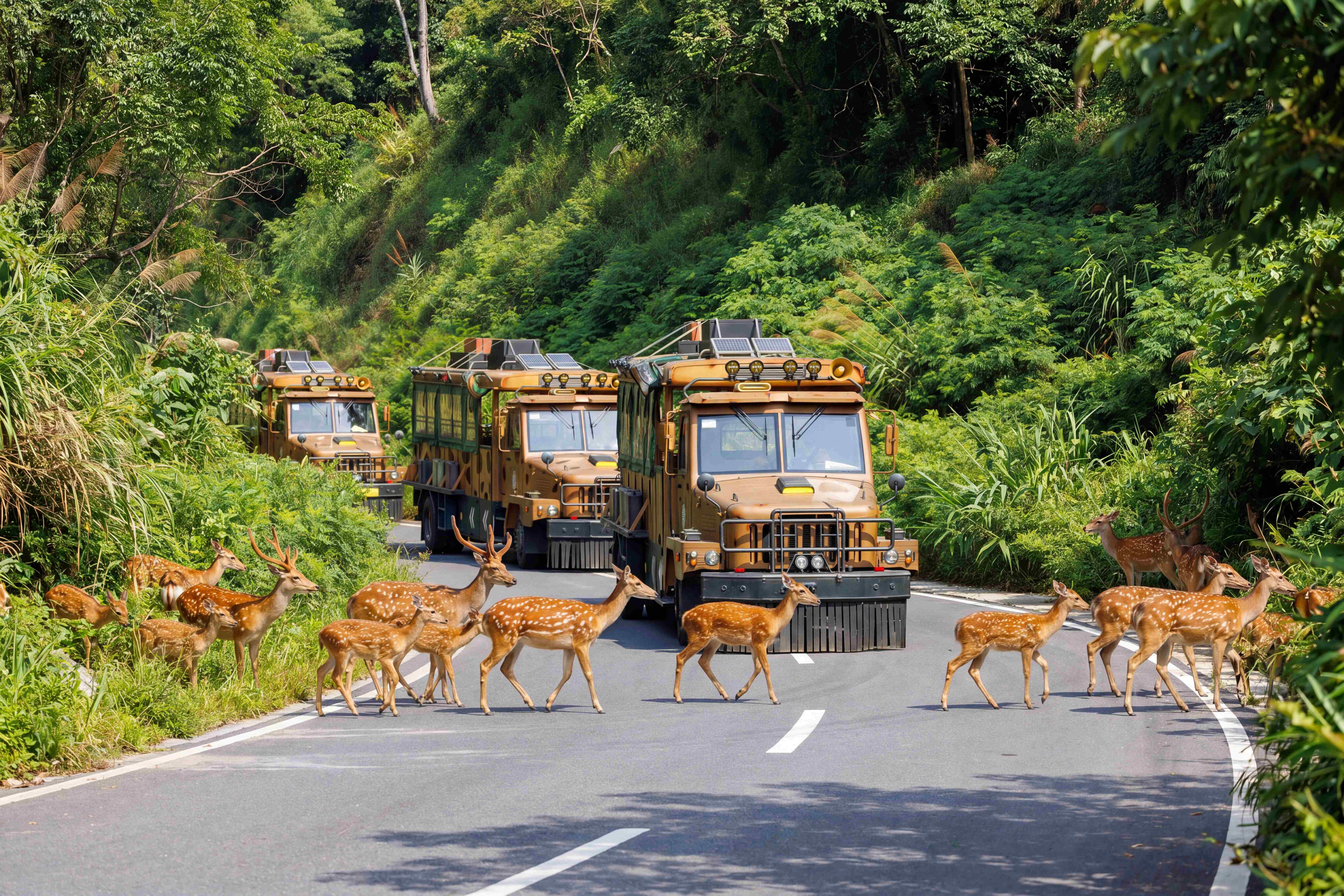 Chimelong Wild Expedition